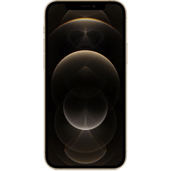 iPhone 12 Pro Max (FaceTime – International Specs)